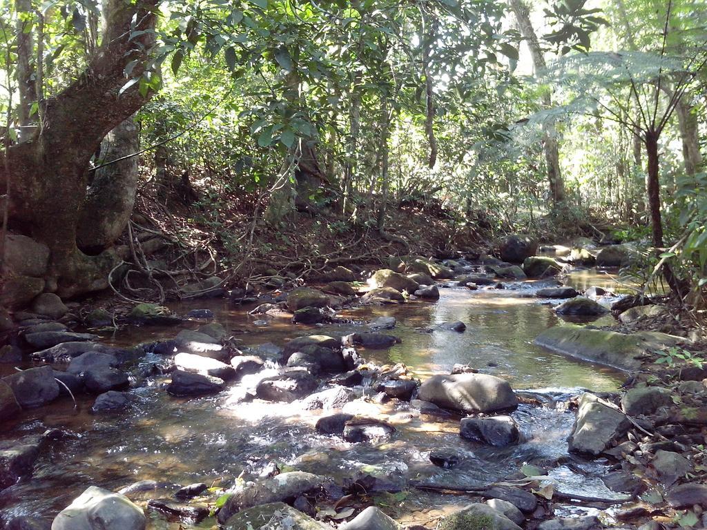 Arboretum Estalagem 2*