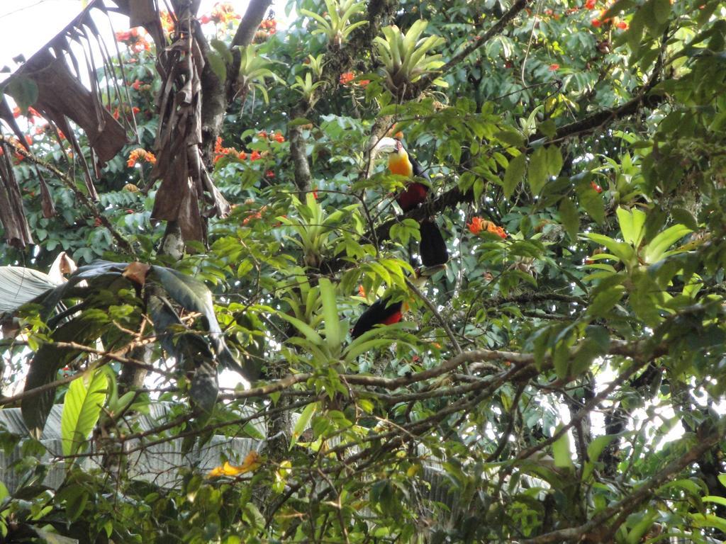 Arboretum Estalagem