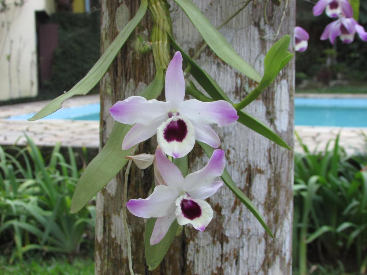 Arboretum 2* Penedo (Rio de Janeiro)