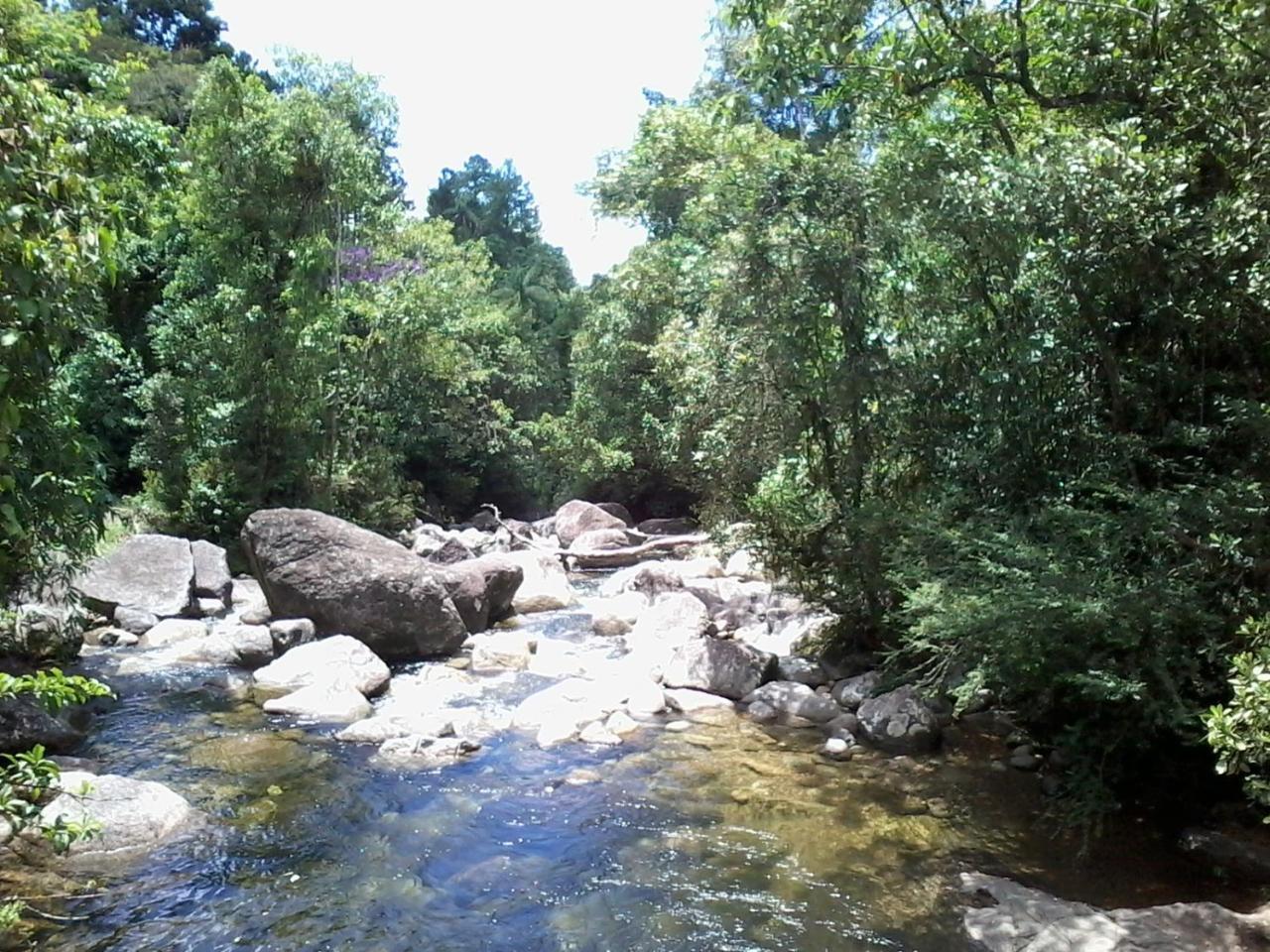 Arboretum